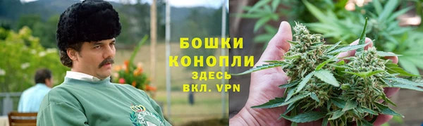 стафф Вязьма