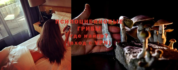 молекула духа Сясьстрой