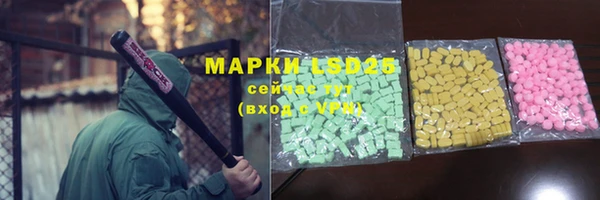 стафф Вязьма