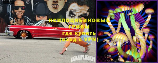 мяу мяу мука Вязники