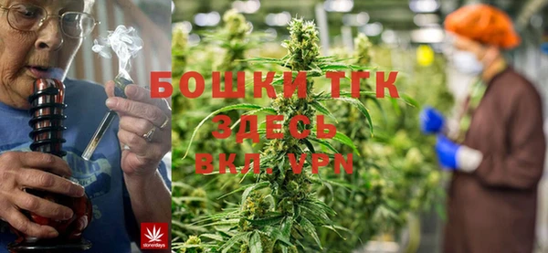 стафф Вязьма