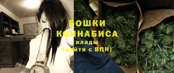 стафф Вязьма