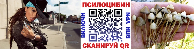 Галлюциногенные грибы мухоморы  как найти закладки  ссылка на мегу вход  Нестеровская 